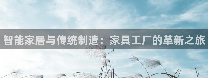 龙八国际怎么注册官网