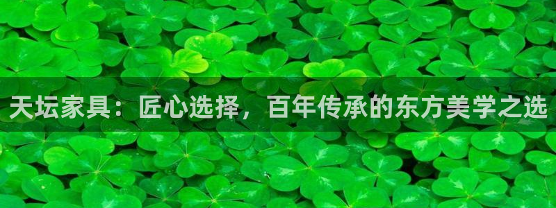 龙八国际服官方