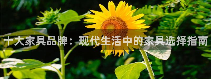 龙八国际娱乐官网手机