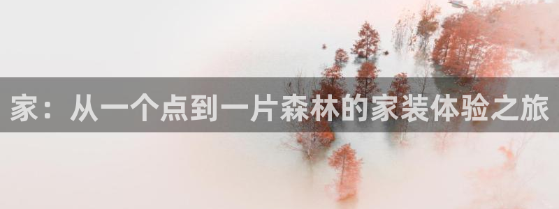 龙八国际苹果版