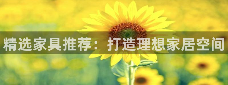 头号玩家龙八国际