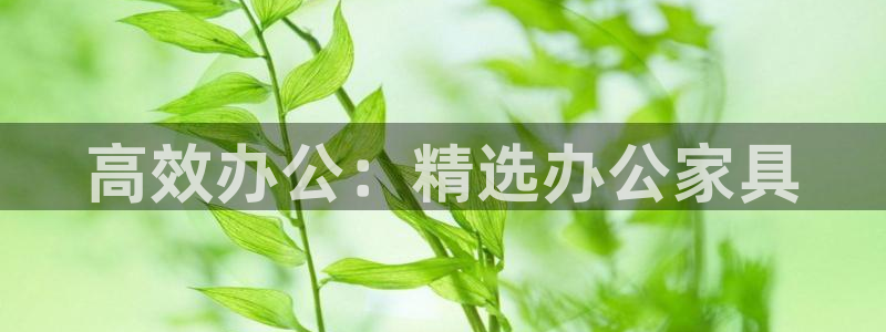 下载龙八国际手机版手游