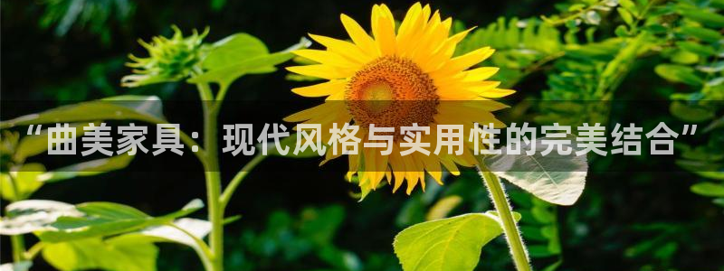 龙八国际是个什么游戏机