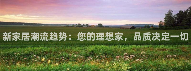 龙八国际手机版下载安卓