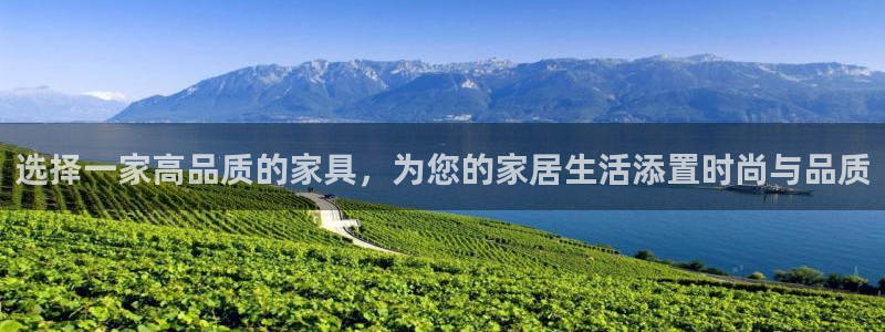 龙八国际网址是多少