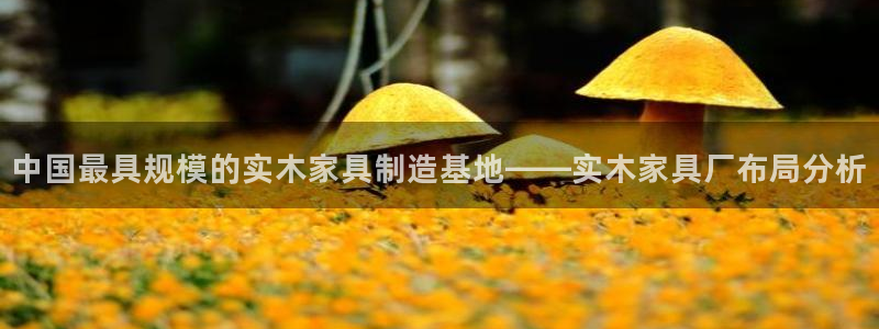 龙八国际手机版下载安装