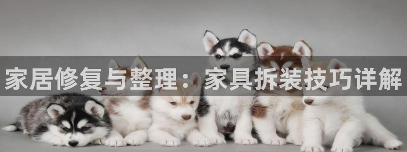 龙八国际代理登陆