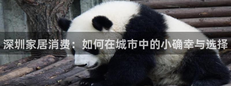 龙八国际什么诈骗