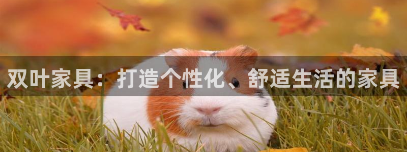 龙八国际手机版下载苹果