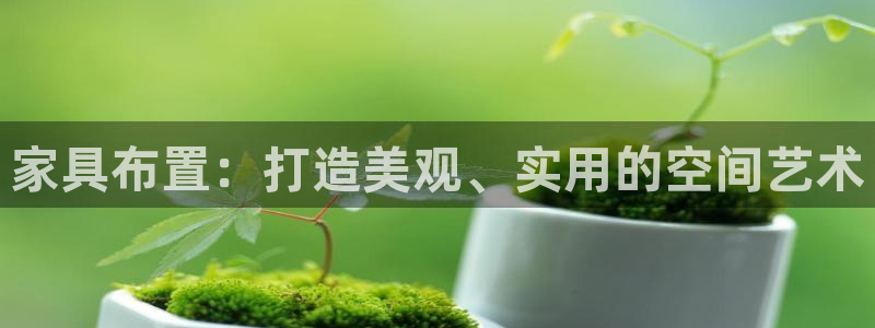 龙八国际娱乐网