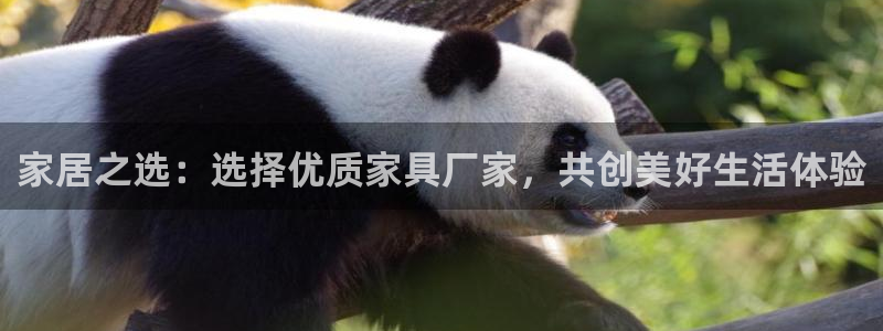 龙八国际官网app