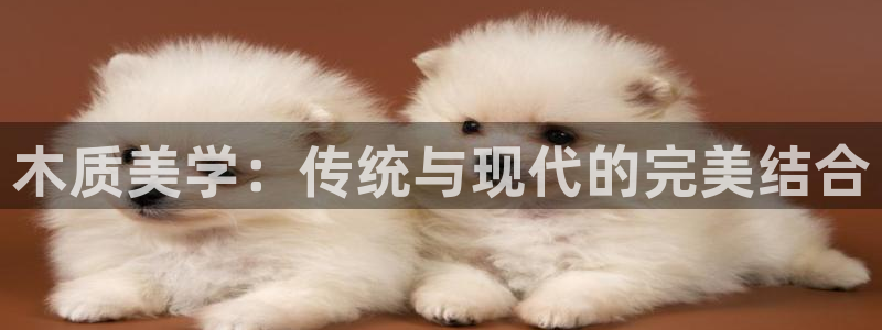 龙八国际手机版入口