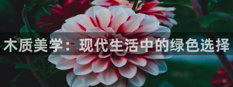 龙八国际app客户端下载手机版