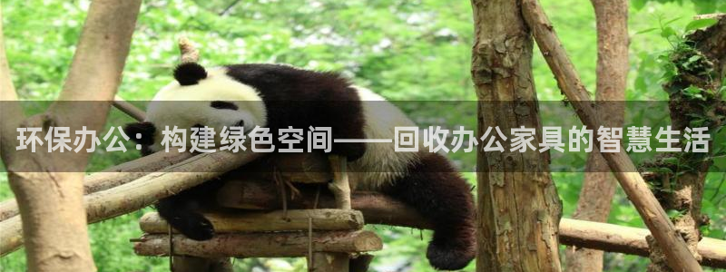 龙八国际App下载地址