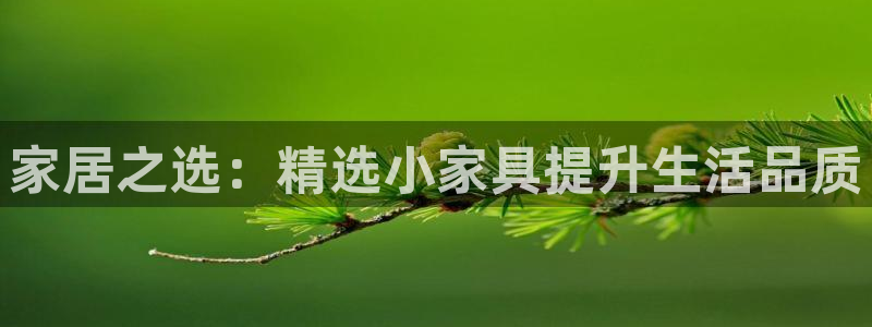 龙八国际官方网站手机版