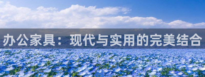 龙八国际官网登录