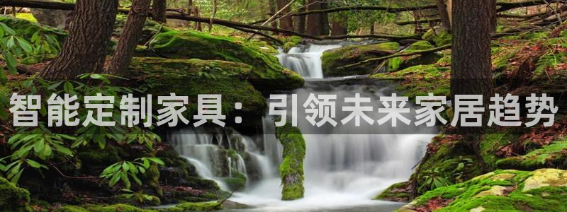 头号玩家龙八国际