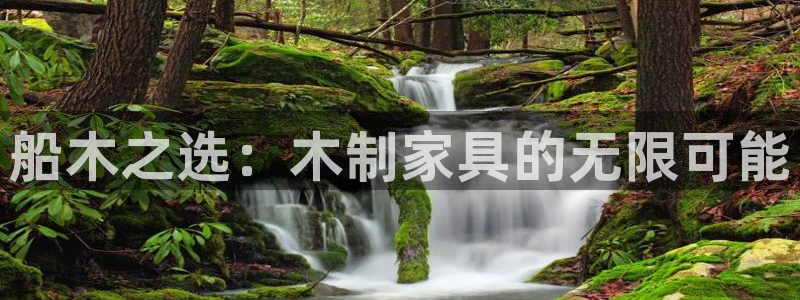 龙八国际下载app苹果