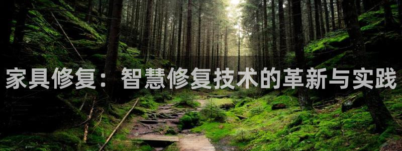 龙八国际唯一官网