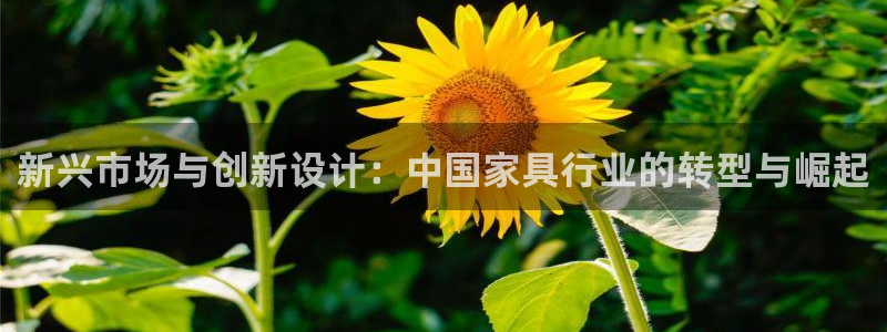 下载龙八国际网站