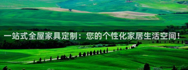 龙八国际app电话