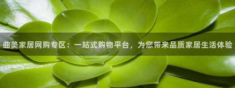 龙八国际手机版