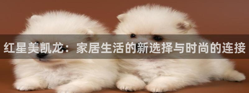 龙八国际平台网站