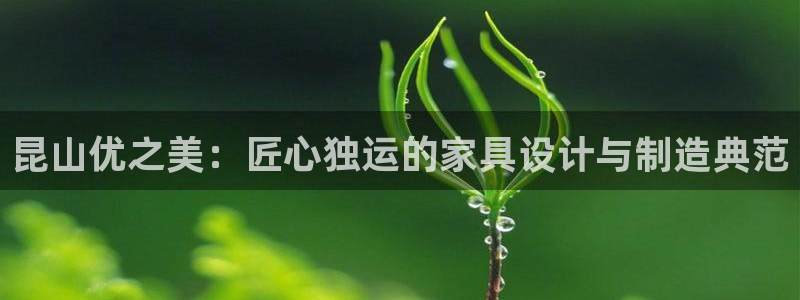 龙八国际怎么注册app