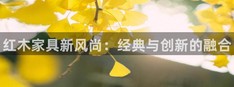 龙八国际不可思议的气球