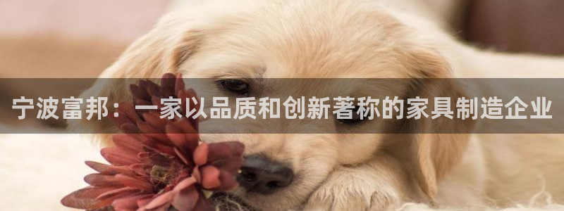 龙八国际娱乐老虎机