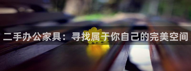 龙八国际网页版本