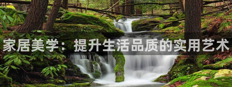 龙八国际zbzszx.com