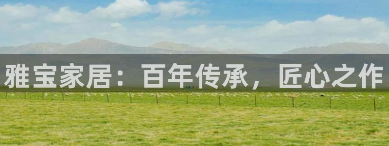 龙八国际是什么软件