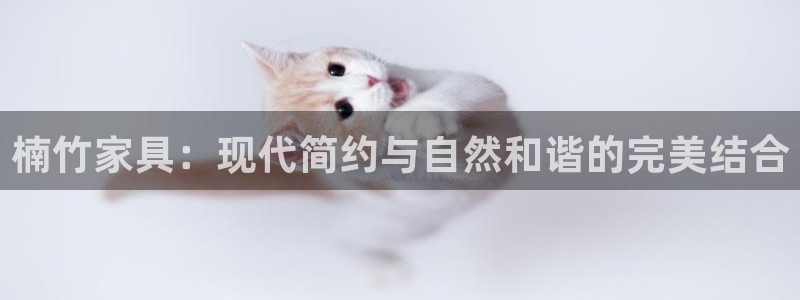 龙八国际娱乐官网多少