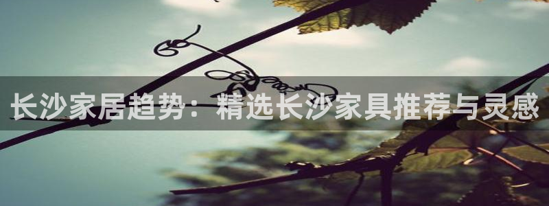 龙八国际游戏维护时间