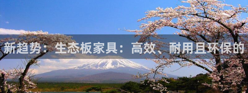 龙八国际怎么注册app