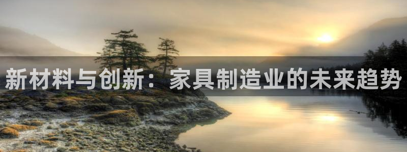 龙八国际优惠券