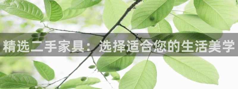 龙八国际手机登录首页