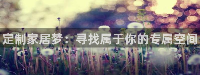 龙八国际APP官方版