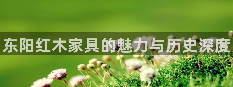 龙八国际菲律宾官网