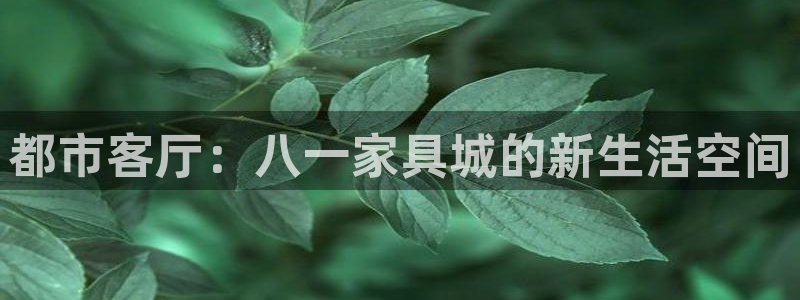 龙八国际网页版