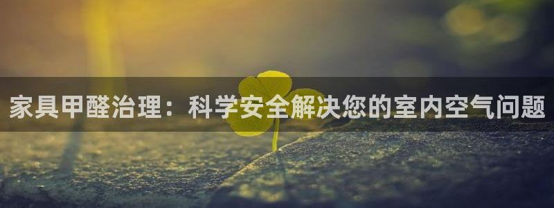 龙八国际服官网下载安卓