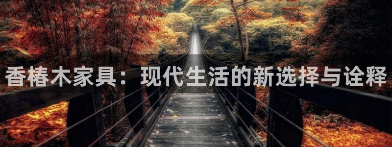 龙八国际网页long8868