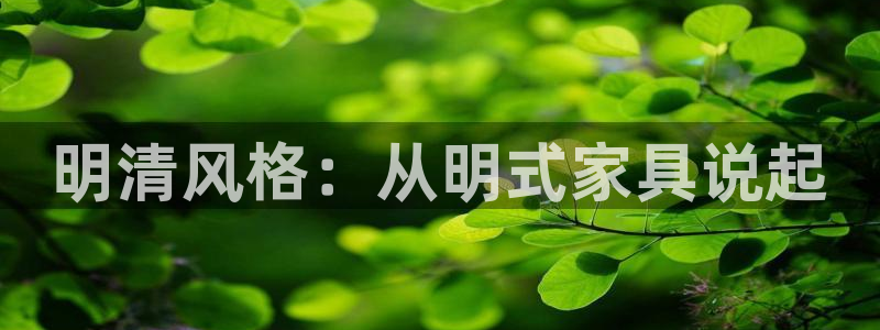 龙八国际可以京东充值吗