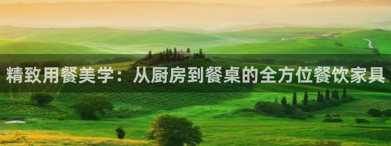 龙八国际娱乐二维码